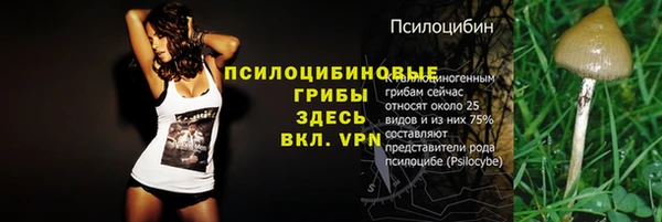 a pvp Аркадак