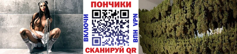 МЕГА зеркало  дарнет шоп  Краснослободск  Шишки марихуана Amnesia 